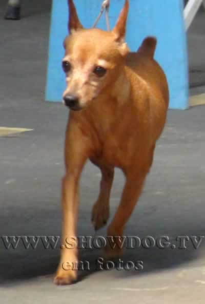 Clique sobre a foto para fechar